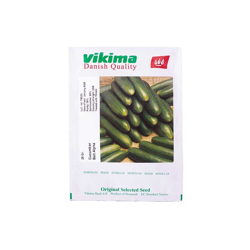 Beith Alpha Vikima