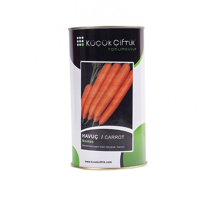 Carrot Nantes- KC