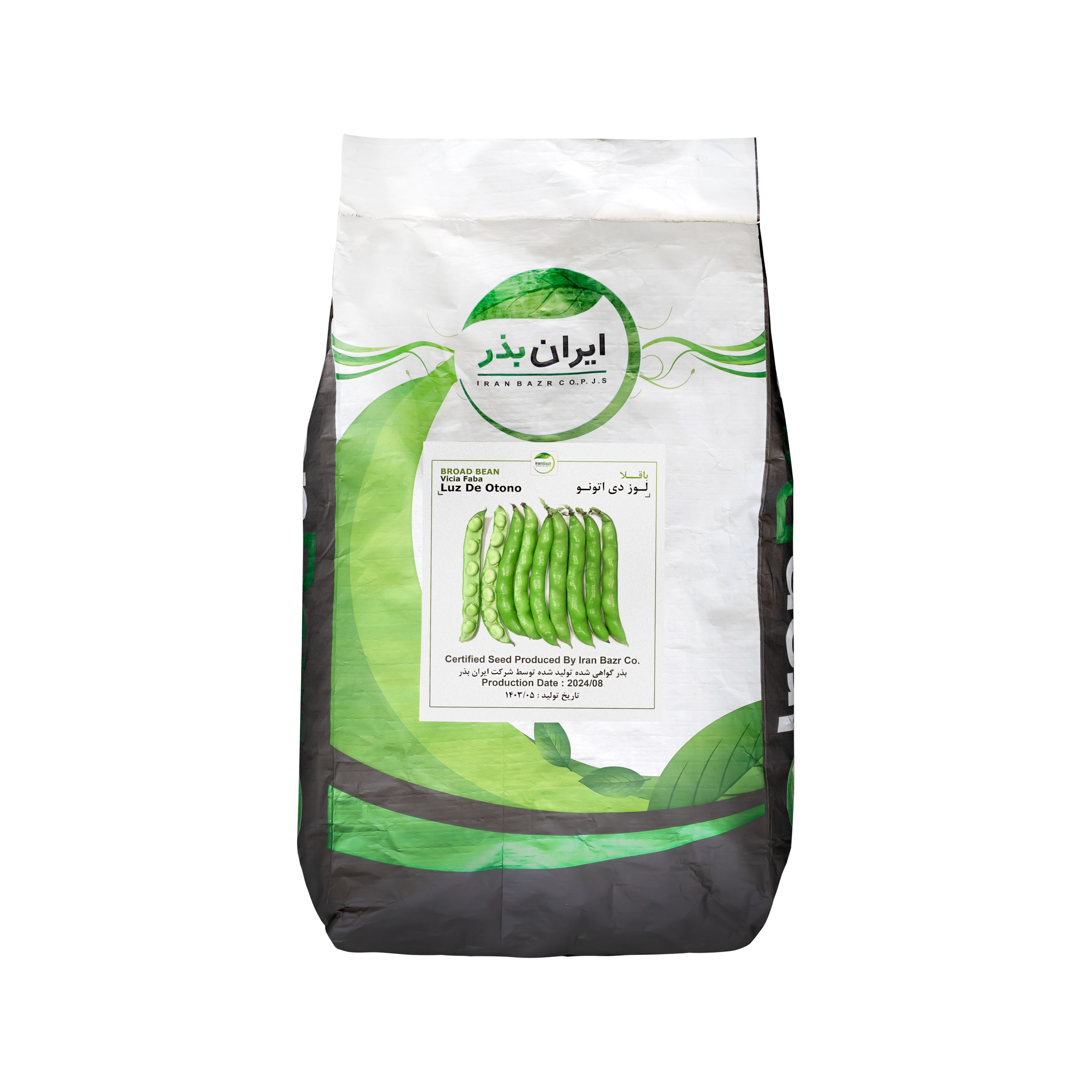 باقلارقم Luz De Otono