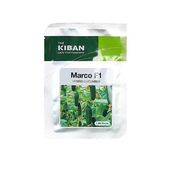 خیار مینی رقم Marco F1
